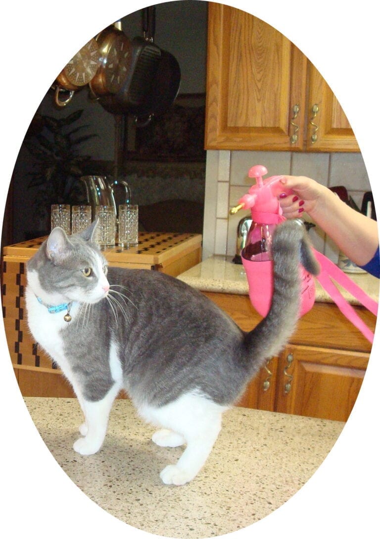 PB Misters ULTRA The Chilling Spot Imports LLC)